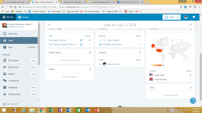 LiteraryNomad11_Visitor_Stat